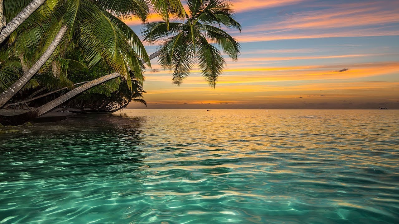 Ho'oponopono Healing Music, Relaxing Sleep Music, Meditation Music, Music for Relaxation