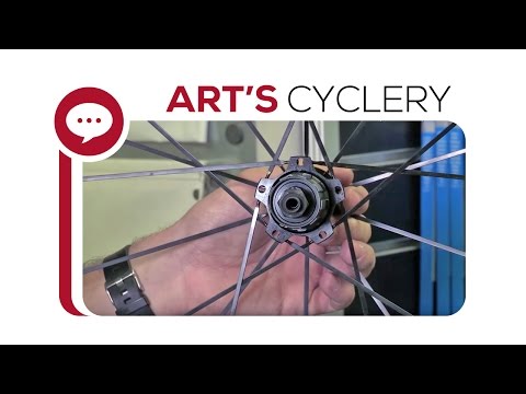 Ask a Mechanic: Mavic Freehub Body Service