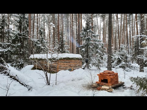 From Start to Finish: Log Cabin Build in the Wild - 6 Months in 1 Hour!