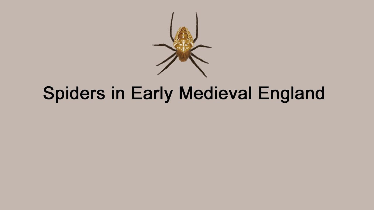 Spiders in Early Medieval England