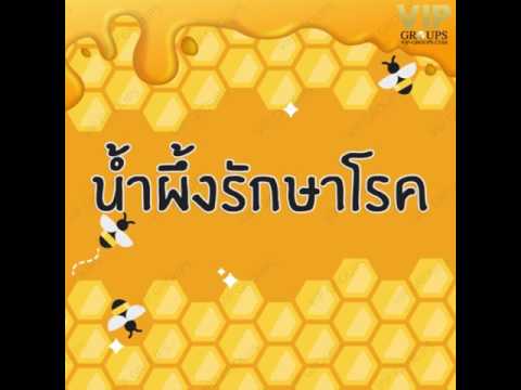 การรักษาโรคสะเก็ดเงิน Ein Bokek กลากเปลือกสีเหลือง