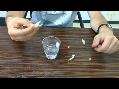 download lagu mp3 mp4 How To Put On Grillz, download lagu How To Put On Grillz gratis, unduh video klip How To Put On Grillz