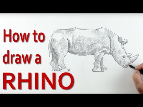 How to Draw a Rhino