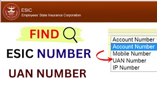 Find ESIC Number By UAN !