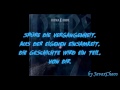 Heimataerde - Niemals mehr [Lyrics on Screen by JavaxChaos]
