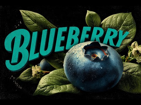 ELAI - BlueBerry (Official) VERA PROJECT