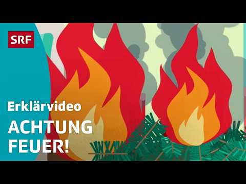 How do you put out a fire? – explained simply | Kids' videos | SRF Kids