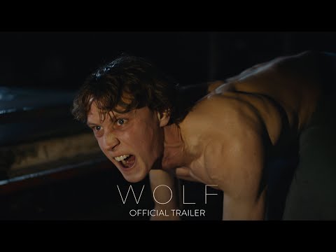 Wolf ( Wolf )