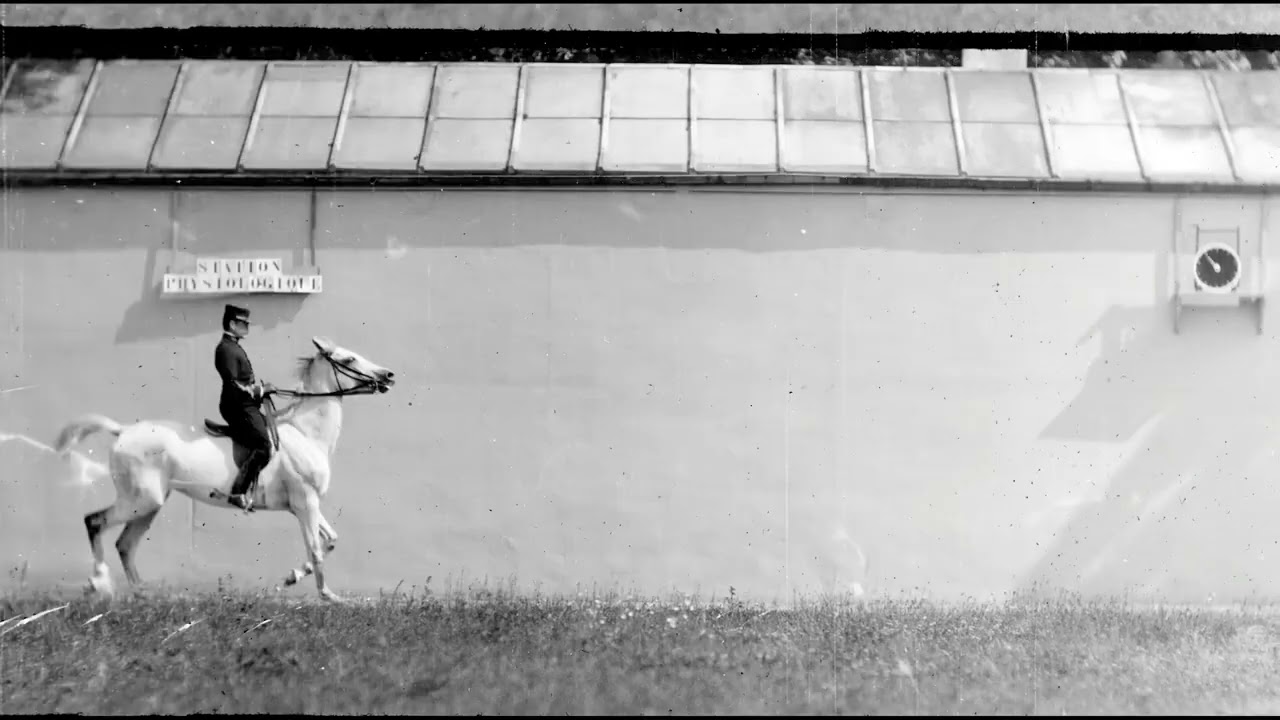 CHEVAL BAI, MONTE, TROT (1899) Silent film [Étienne-Jules Marey]