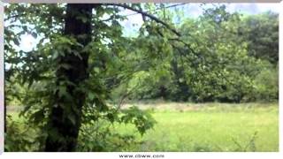 preview picture of video '711 Rafter Road, Tellico Plains, TN 37385'