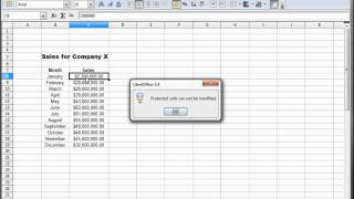 28- Libre Office - Calc, Open Office -- Calc, Excel Tutorial -- Protecting a Sheet in a file
