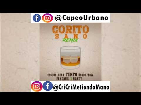 Tempo ft Randy ft Cosculluela ft Ñengo Flow ft Elysanij - Corito Sano (Remix AUDIO ORIGINAL)