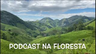 O QUE PROCURAMOS PODE ESTAR DIANTE DE NÓS - PODCAST NA FLORESTA - CHICO ABELHA E CARLOS ABE