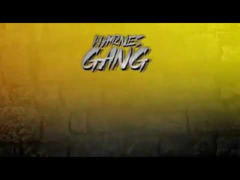 Te presentamos lo nuevo de Gordon Black Santa Cruz      🔥Warnes Gang🔥  Link video completo⬇️⬇️⬇️