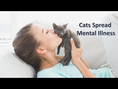 Cats Spread Mental Illness