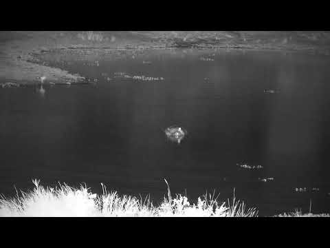 Djuma: Hippo with mouth full of mud - 03:22 - 03/02/2022