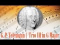 🎼 Georg Philipp Telemann Trio Sonata in G Major Flute, Violin, Cello, Harpsichord | Baroque Music