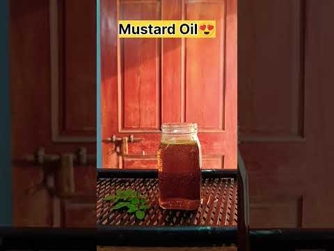 Best body oil Mustard oil #shorts  #mustardoil 🔥🔥🔥 for winter season 💦 #winterskincare