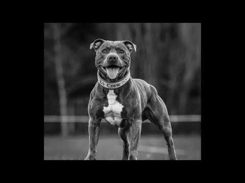 Aquil KTM - KONFIDENT