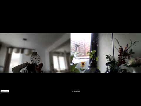 HIPNOZA REGRESIVA.RO320 Lidia existenta trecuta si influenta farmecelor,neimplinirea strabunicii