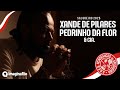 Salgueiro 2025 Samba Campeão Xande De Pilares Pedrinho Da Flor Cia