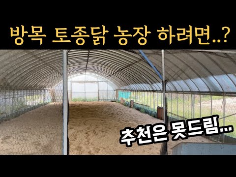 , title : '방목 토종닭 농장 허가와 절차 근황 -귀농 귀촌'