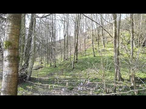 Weekend Walk 24 - Alton to Selborne (Hangers Way)