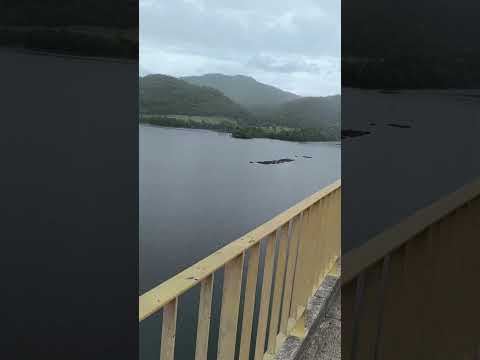Ponte do Rubão, Minaçu Goiás.