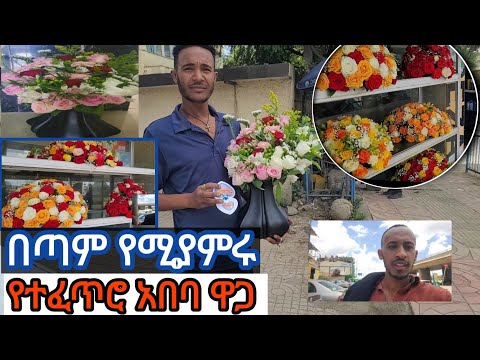 ለ ስጦታ የሚሆኑ የ ተፈጥሮ አበባዎች ዋጋ ዝርዝር #price #flowers #mamena