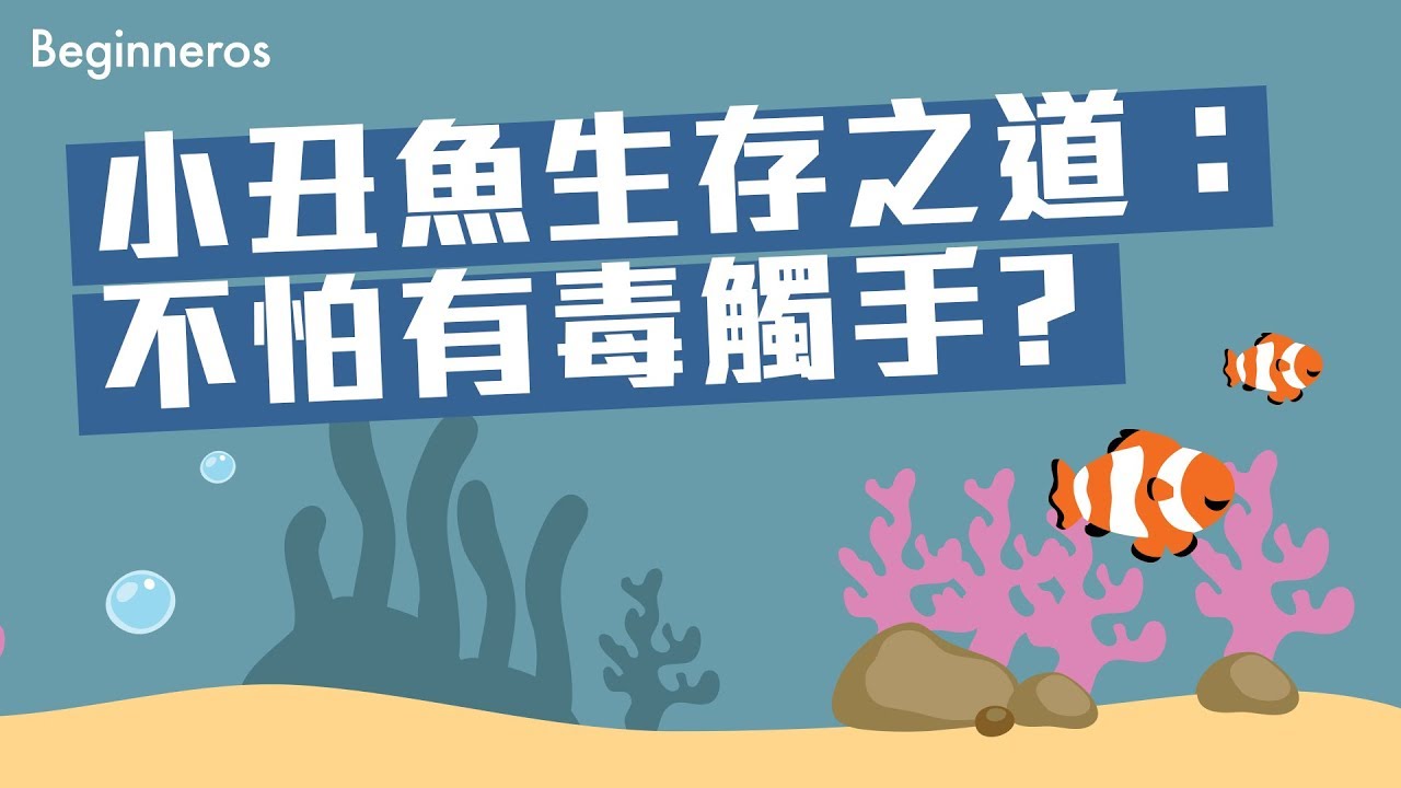 小丑魚生存之道