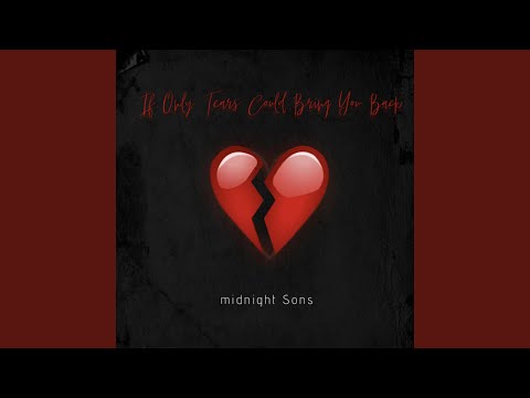 If Only Tears Could Bring You Back