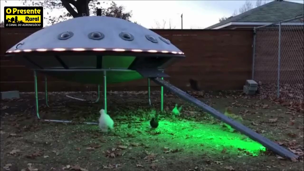 Você já viu um galinheiro em forma de disco voador? 🛸🐔