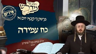 הרב מנחם מנדל פומרנץ | רגע של מדרש -אידיש- יום א' פרשת כי תצא • כח עמידה •