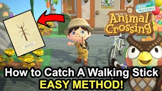 ACNH: How to Catch the Walking Stick EASY METHOD!