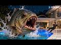 Mutant Piranhas Emerge And Launch A Frenzied Attack On Humans Sharp Teeth YOUKU MONSTER MOVIE