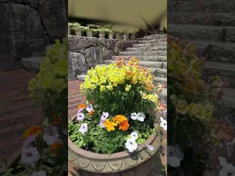 pots-de-fleurs-table-rectangulaire-plantes-gravier-exterieur