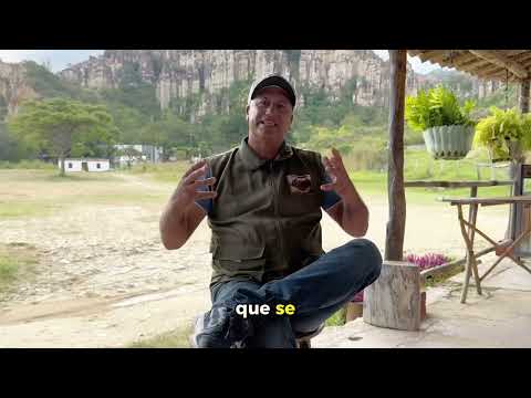 𝐂𝐨𝐧𝐨𝐜𝐢𝐞𝐧𝐝𝐨 𝐞𝐥 𝐍𝐨𝐫𝐭𝐞 𝐂𝐚𝐩𝐢́𝐭𝐮𝐥𝐨 𝟑: “𝐋𝐨𝐬 𝐄𝐬𝐭𝐨𝐫𝐚𝐪𝐮𝐞𝐬 - 𝐋𝐚 𝐏𝐥𝐚𝐲𝐚 𝐝𝐞 𝐁𝐞𝐥𝐞́𝐧, 𝐏𝐚𝐭𝐫𝐢𝐦𝐨𝐧𝐢𝐨 𝐍𝐚𝐭𝐮𝐫𝐚𝐥”