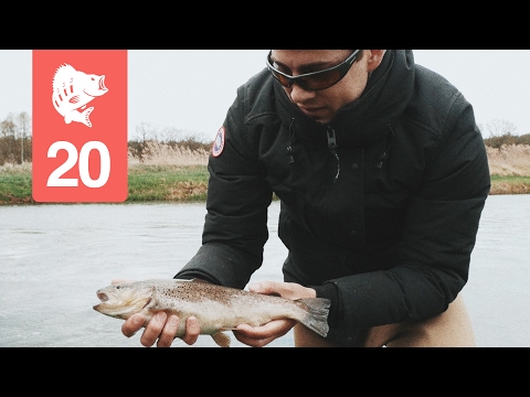 Parade of breakdowns at the trout stream