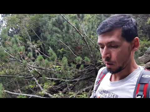 Cab. GURA DIHAM - pichetul ROSU - La PREPELEAC - cab. MALAIESTI - cab. DIHAM - cab. GURA DIHAM