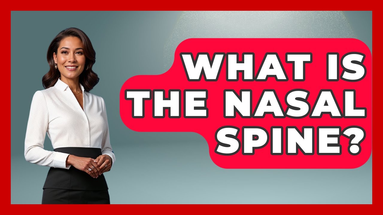 What Is The Nasal Spine? - Ear Nose Throat Expert