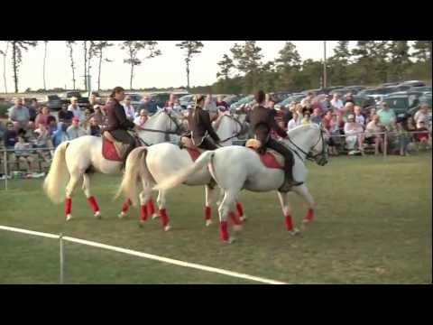 Herrmann's Royal Lipizzan Stallions