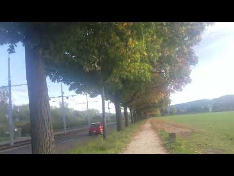 Walking tour autumn Basel Switzerland Schweiz