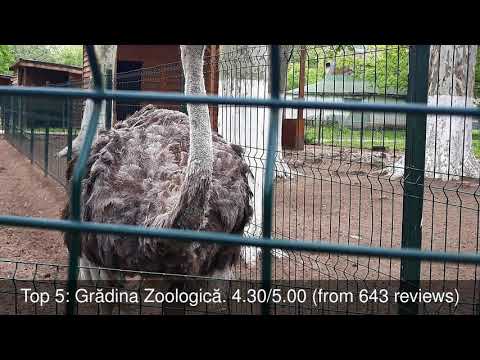 Best Tourist Attractions you MUST SEE in Craiova, Romania | 2019