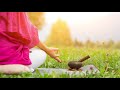 Mindfulness Bell A 30 Minute Mindfulness Meditation