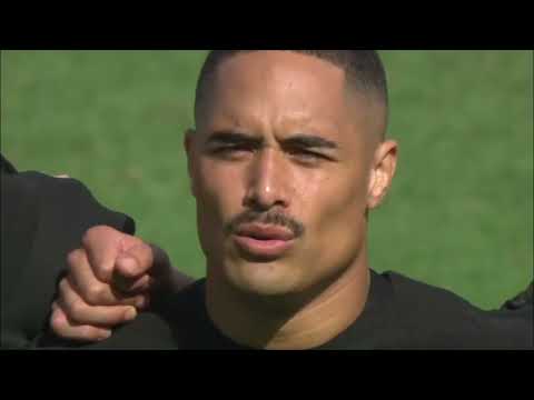 Namibia vs New Zealand 2019 Full Highlights