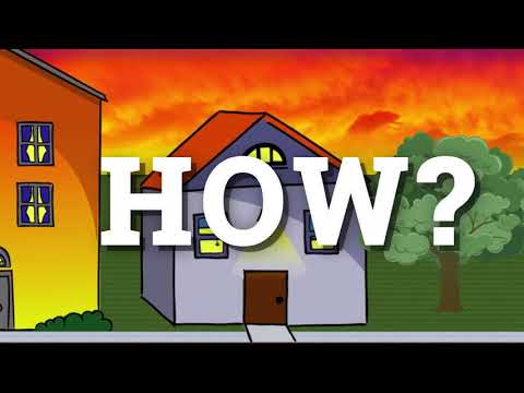 Find Formosan or Asian Termites Fast and Effective