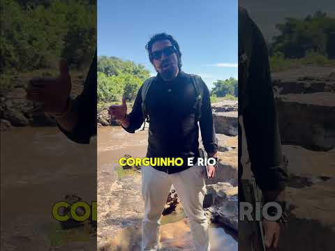 80 KM. 1H30 DE ESPERA. UMA VIDA PERDIDA.