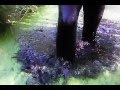 My SV Pass Through The Very Dirty Slop Ditch Barbed Wire In My Northside Lincoln Rubber Boots