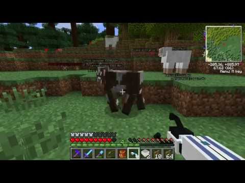 Let's Play Minecraft: Feed the Beast - Episode 43