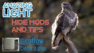 AMAZING LIGHT AT THE HIDE - ECOFLOW DELTA 3 REVIEW - BUZZARD TIPS